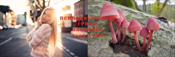 не бодяженный Ладушкин