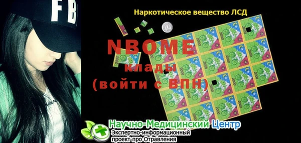 дживик Тында