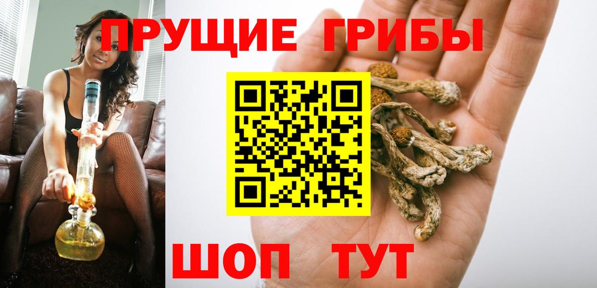 Мценск  Псилоцибиновые грибы Psilocybine cubensis  Вход с VPN 