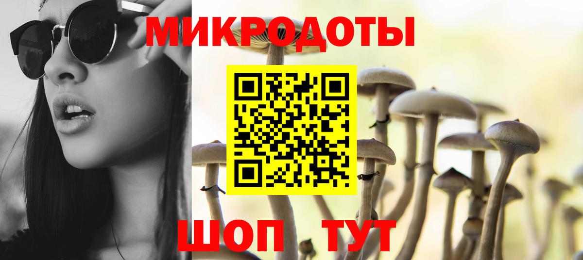 Галлюциногенные грибы прущие грибы Мценск